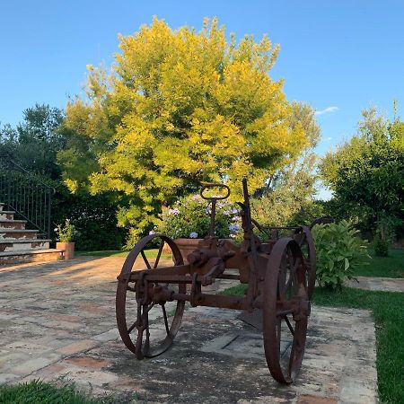 Appartamento Mimosa Ripa Teatina Bagian luar foto